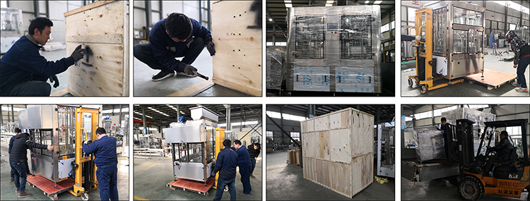 Makinë paketimi vaji mustardë 10 hundë me kosto të ulët